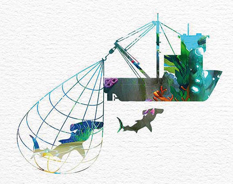 SEABELIEVERS_Overfishing